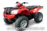 Baltmotors BM ATV-500 Max квадроцикл двухместный 500 куб.см