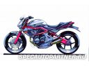 Kawasaki ER-6n (2007) мотоцикл спорт 650 куб.см Фото № 26