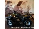 Baltmotors BM 200 ATV квадроцикл 200 куб.см Фото № 3