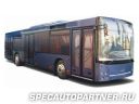 МАЗ-203 автобус городской низкопольный МАЗ-203 автобус городской низкопольный