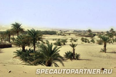 КАМАЗ занял второе место на Дакар-2007 КАМАЗ занял второе место на Дакар-2007